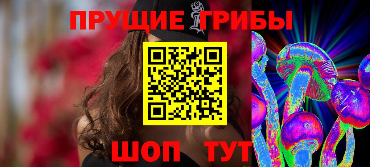 Железногорск  Псилоцибиновые грибы Psilocybe  Вход с VPN 