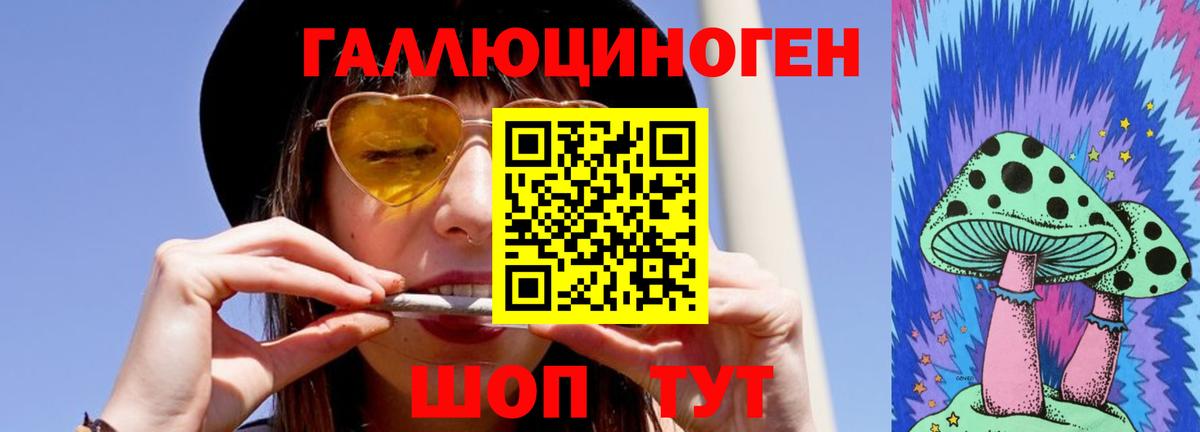 Галлюциногенные грибы Cubensis Железногорск